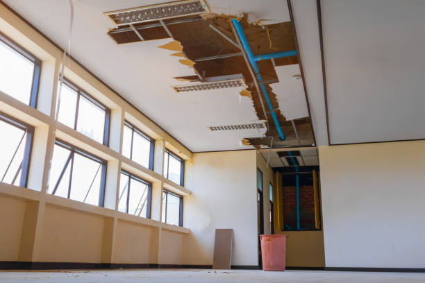 Best Flooded house restoration  in Damascus, MD