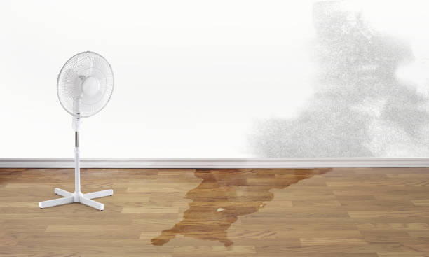 Best Water damage repair service  in Damascus, MD