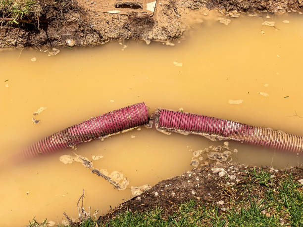 Best Local water damage restoration  in Damascus, MD