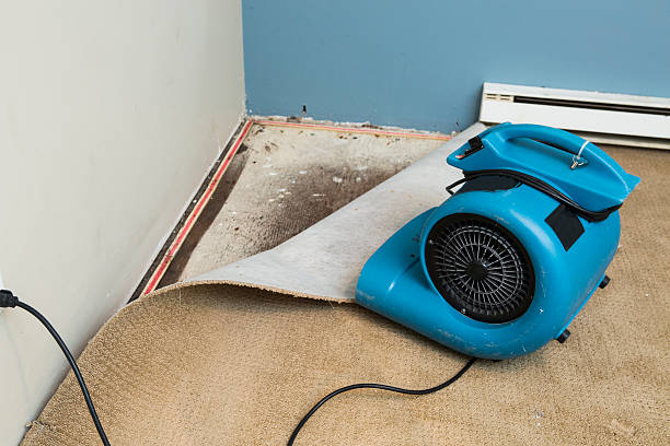 Best Water damage restoration near me  in Damascus, MD
